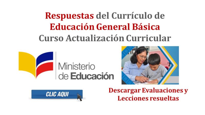 Respuestas del Currículo de Educación General Básica - Curso Actualización Curricular