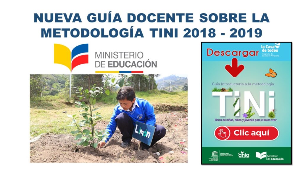 Nueva Guía Docente sobre la Metodología TiNi del Ministerio de Educación 1