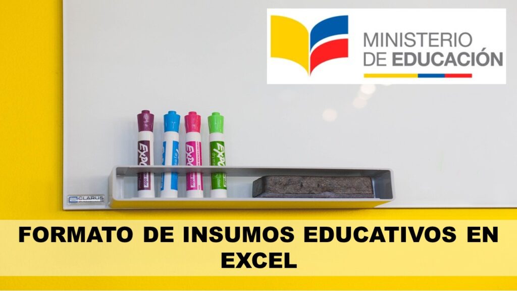 Formato de Insumos Educativos en Excel