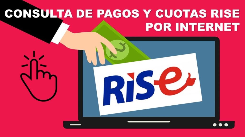 Consulta de Pagos y Cuotas RISE por Internet