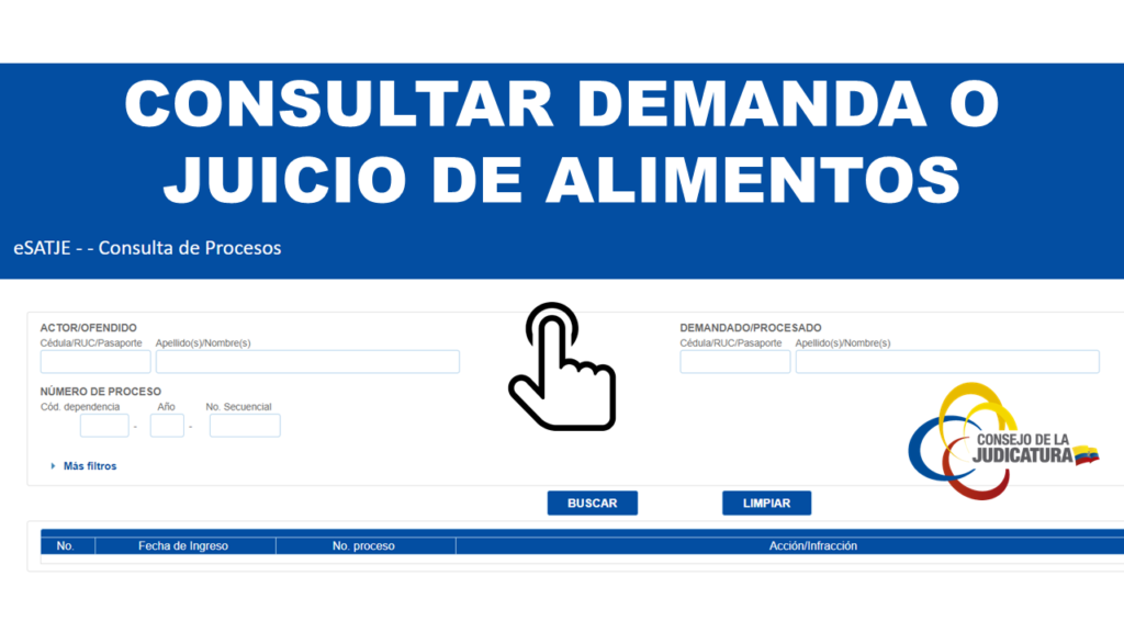 Consultar Demanda o Juicio de Alimentos