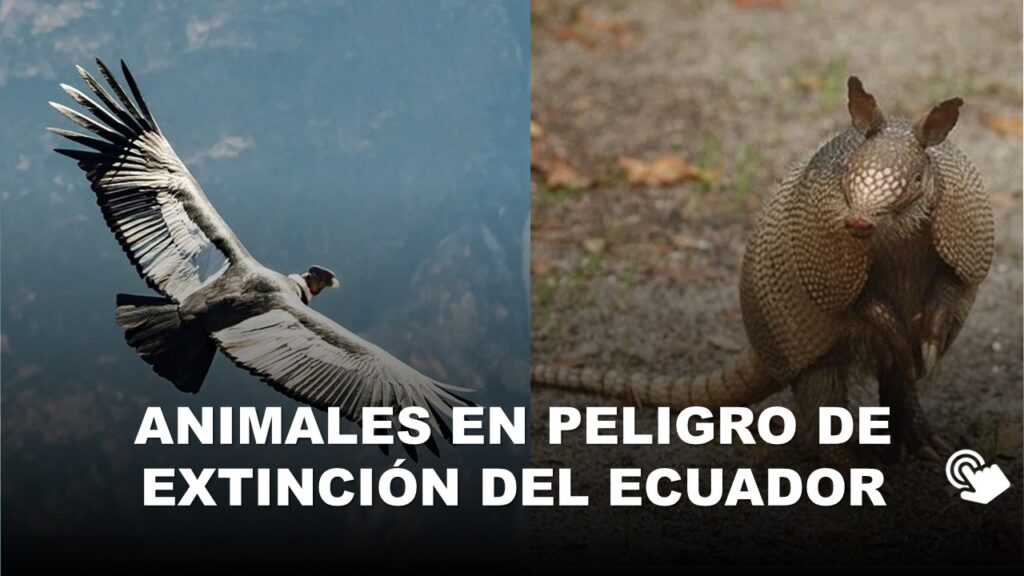 Animales en Peligro de Extinción del Ecuador