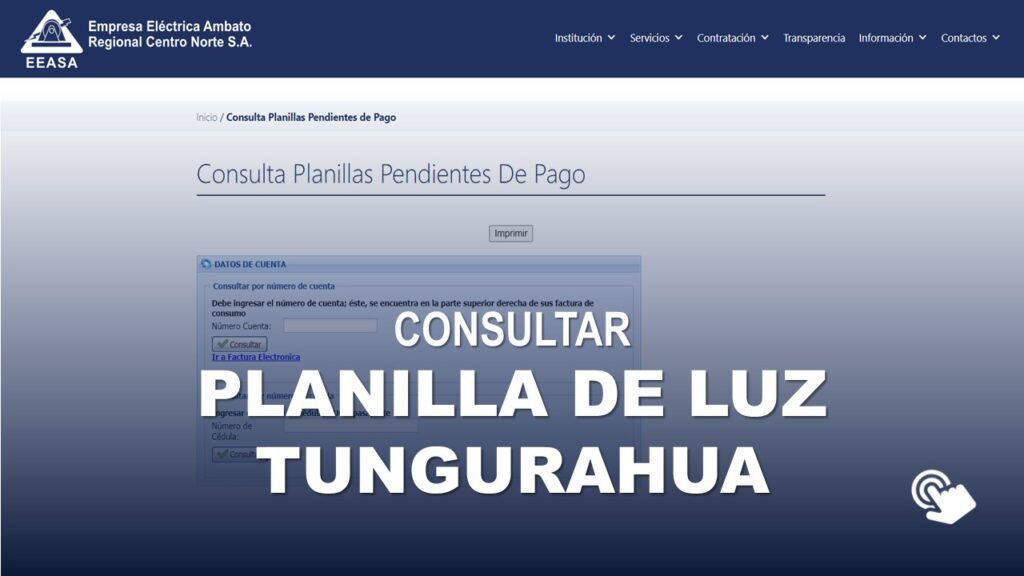 Consultar Planilla de Luz Tungurahua EEASA