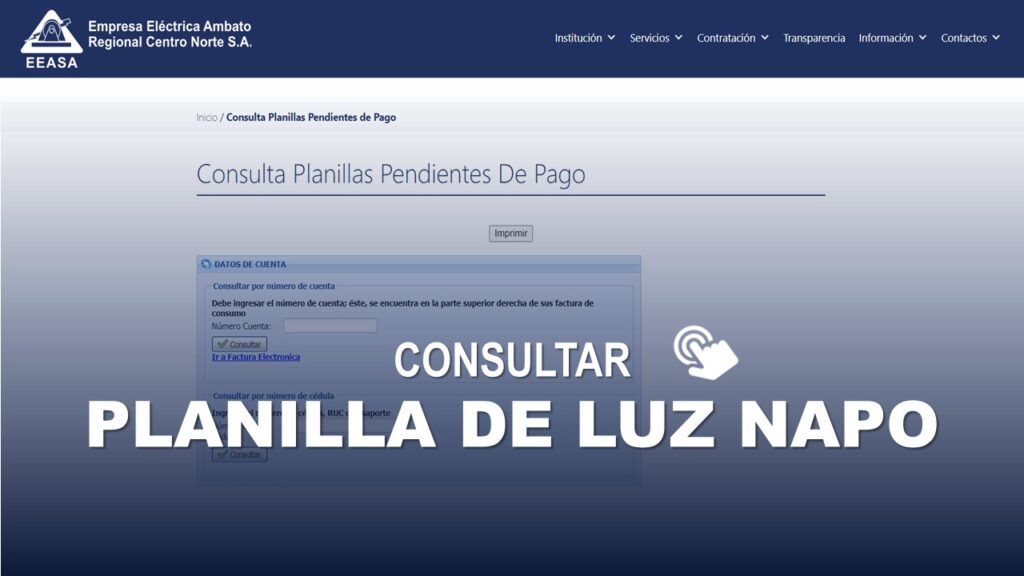 Consultar Planilla de Luz Napo EEASA
