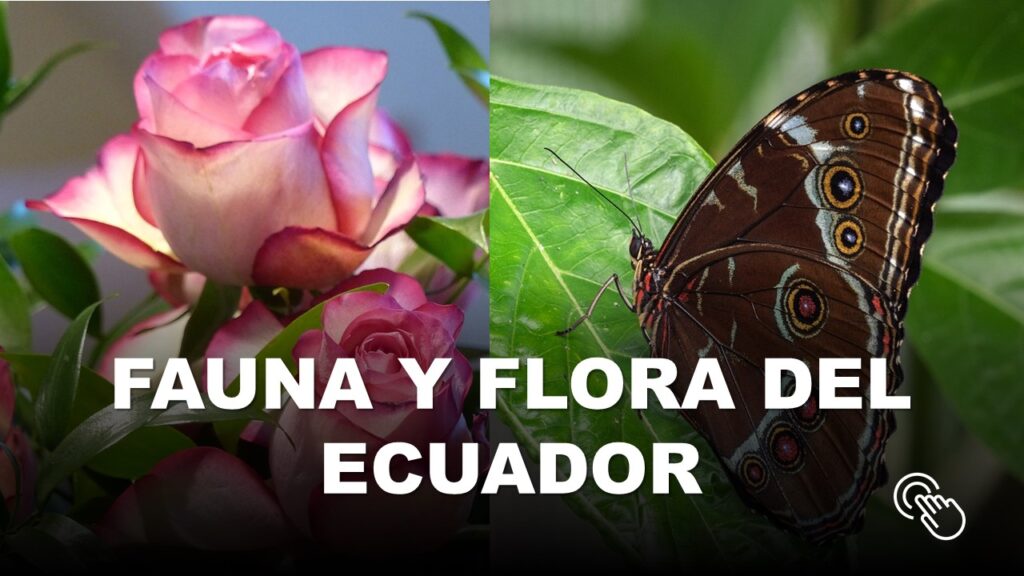 Fauna y Flora del Ecuador